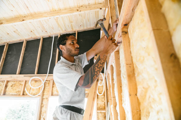 Best Insulation for New Construction  in Munford, AL